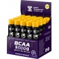 БЦАА НПО Спортивные Технологии BCAA 5000 25 мл