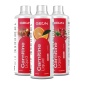 Л-Карнитин GEON l-carnitine liquid 500 мл