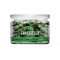 Антиоксидант NUTRAWAY CHLORELLA 100 гр