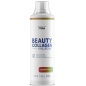 Коллаген Health Form Collagen + Hyaluronic acid 500 мл