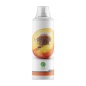 Л-карнитин Nature Foods L-carnitine + Guarana concentrate 500 мл